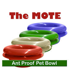 Who should buy a cat bowl. Ant Proof Cat Bowl Chewy Review Pets News And Review