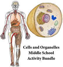 We did not find results for: Cells And Organelles Bundle For Middle School Downloadable Only