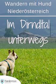 urlaub mit hund im pielachtal im hotel steinschalerhof no hundereise urlaub mit hund urlaub ausflug