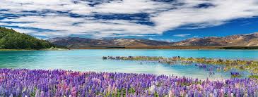 駐紐西蘭台北經濟文化辦事處) represents interests of taiwan in new zealand in the absence of formal diplomatic relations. è¥¿åŒ—æ—…éŠç¶² ç´è¥¿è˜­å—åŒ—å³¶å…«å¤©