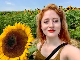 Where to find sunflower fields near Springfield?