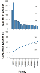 Image result for Meiostemon tetrandrus