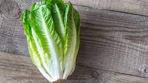 Put A Romaine Heart In Water And Watch What Happens