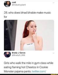 28 Who Does Bhad Bhabie Make Music For Girls Who Walk The Mile In Gym Class While Eating Flaming Hot Cheetos In Cookie Monster Pajama Pants Twittetzcom Ifu Funny Relatable