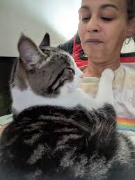 How to remove chalk paint from cat?