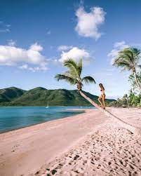 Climbing Palm Trees On Hideaway Beach In Queensland Australia Does Anyone Actually Find It Easy To Climb Palm Trees Beach Australian Road Trip Instagram