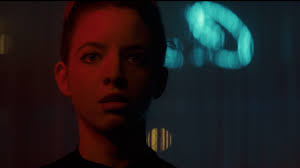 Robert Cauble, Director of Photography, Cinematographer, New York