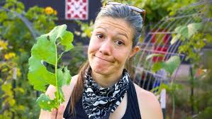 Garden Pests — And How to Stop Them Fast