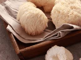 Best way to grow lion's mane mushrooms? How To Cook Lion S Mane Mushroom And Others Mushroom Health Guide