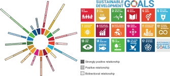 It brings the mdg experience to the transition process from mdgs to sdgs. Inland Fish And Fisheries Integral To Achieving The Sustainable Development Goals Nature Sustainability