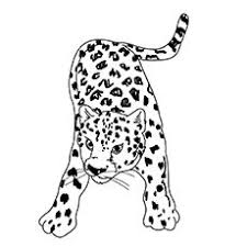 The Leopard Roring Coloring Pages Animal Coloring Books Leopard Art