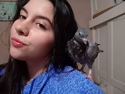 Help with pigeon refusing to eat