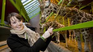 We did not find results for: Belfast Zoo Belfast Discover Northern Ireland