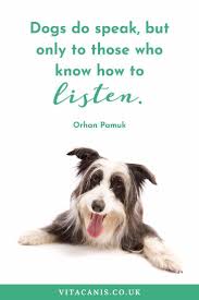 Meaningful Dog Quote For Dog Lovers Brighten Your Day With This Dog Mom Quote Vita Canis A Girl And Her In 2020 Dog Quotes Inspirational Dog Quotes Dog Mom Quotes