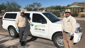I had a large spider problem (black1's) i didn't know about. Ads Gecko Pest Management