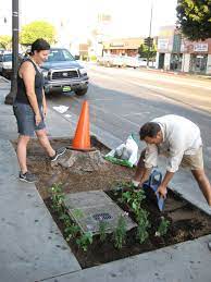 Spatial Agency Guerrilla Gardening