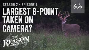 10 Best Times To Deer Hunt Deer Hunting Realtree Camo