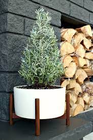 Wintry Blue And White Holiday Decorating Ideas Dans Le Lakehouse Holiday Decor Plants Lavender Plant