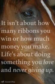 Never Give Up Horse Quotes Inspirational Horse Quotes Horse Riding Quotes