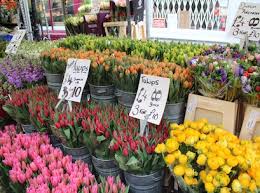 *things to note about your ozbargain woolworths flowers offer: Online Flower Industry In Bloom Inside Retail