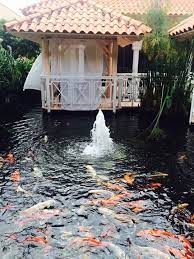 Pin By Jonas On Ponding Ponds Backyard Koi Pond Backyard Japanese Water Gardens