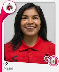 Página Oficial de la Liga Mexicana del Fútbol Profesional