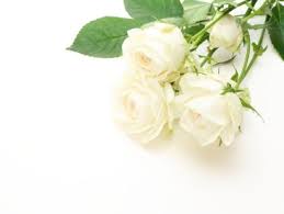 Tribute to Roger Thrift M.B.E., 1945