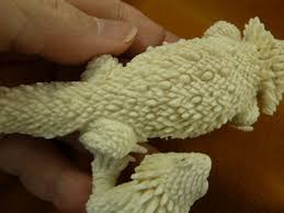 liz-20 Mama + baby Lizards of shed ANTLER figurine Bali detailed carving  iguana | eBay