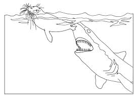 Top Coloring Page Shark Attacks Sealt Oloring Pages Coloringpages Shark Coloring Pages Animal Coloring Pages Shark Pictures