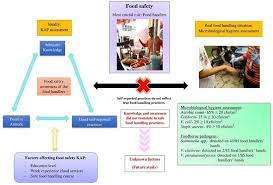 Request pdf | on jan 1, 2016, evelyn shyamala devadason and others published food safety standards and regulations in malaysia food retail trends facing southeast asia challenge the state of existing regulations governing, as well as research on food labeling practices in the region. Ijerph Free Full Text Assessment Of Food Safety Knowledge Attitude Self Reported Practices And Microbiological Hand Hygiene Of Food Handlers Html