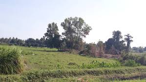 Balai rw 11, lapangan rw 11 dan lokasi di sekitarnya. Susahnya Memohon Tanah Di Pahang Ameno World