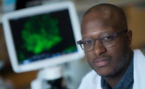 Exploring the Power of Mindful Connections