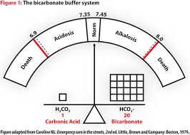 Acid Base Balance Understanding Is Critical To Treat Patients Jems