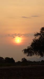 It turns into a hostage situation and a media circus. Lady Lee Princess C And Friends Go Dogging A Mana Tr Page 2 Zimbabwe Safaritalk