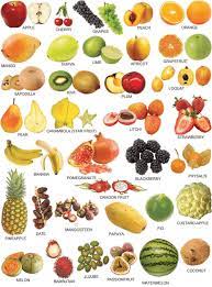 Coba sebutkan 5 sampai 10 nama buah dalam bahasa inggris. 54 Nama Buah Dalam Bahasa Inggris Dari A Z