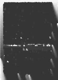 BYRD PRUITT & NANCY DYER THEIR DESCENDANTS By Richard A. Prewitt