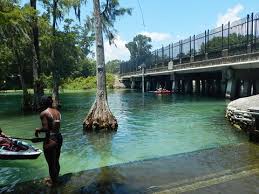 Divers will find the rainbow river in dunnellon, florida. Rainbow River Paddling Fl E Z Map 45 Photos Find Rentals
