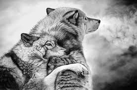 Then you'll really love this vid on drawing a realistic, very detailed cat portrait. Artist Kerli Draw Realistic Animal Portraits On Trendy Art Ideas