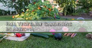 Maybe you would like to learn more about one of these? Fall Vegetable Gardening In Arizona Mesa Queen Creek Gilbert