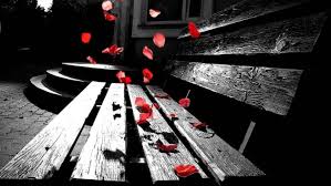 191 sad hd wallpapers and background images. Petals Sad Hd Wallpapers Desktop And Mobile Images Photos