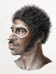 1827 Schinz Australian Aboriginal Colour Stock Image C011 0906 Science Photo Library
