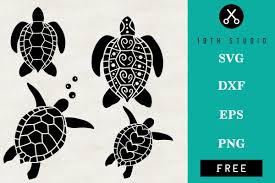 Download 19th Studio Where Should We Send This Bundle To Sea Turtle Turtle Svg