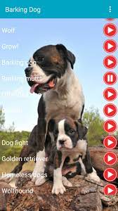 laj sobaki zvuki dlya android skachat apk