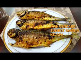 Setelah kuah asam pedas itu dan cukup rasa masukkan ikan cencaru. Resepi Ikan Cencaru Sumbat Kelapa Cencaru Bakar Belah Belakang Litetube