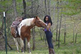 What It Costs To Buy A Horse (And Care For It!)