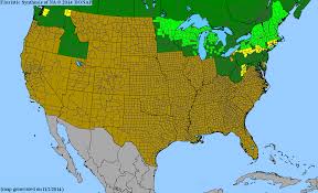 Image result for Hippocratea graciliflora