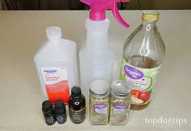 How To Make Homemade Bug Spray For Dogs Mosquitoes Other Insects
