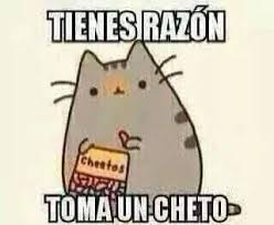 Tienes Razon Toma Un Cheto Meme Gato Cat Memes Divertidos Chetos Memes