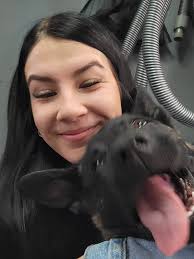 Dutch Shepherd Dog Photo Shared in Community