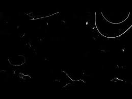 Gambar animasi kartun, anime hitam putih keren, simple, doraemon, spongebob, lucu, 3d, hd kali ini saya akan merangkum beberapa gambar kartun hitam putih. Mentahan Video Untuk Kine Master Terbaru Youtube Youtube Design Vintage Overlays Instagram